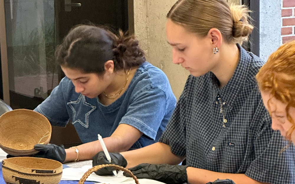 Museum of Fine Arts: Where the Arts come Alive